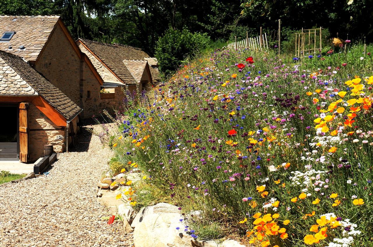 Domaine des Maréquiers chambre Pimprenelle Saint-Germain-du-Teil Exterior foto
